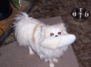 100_9981.jpg